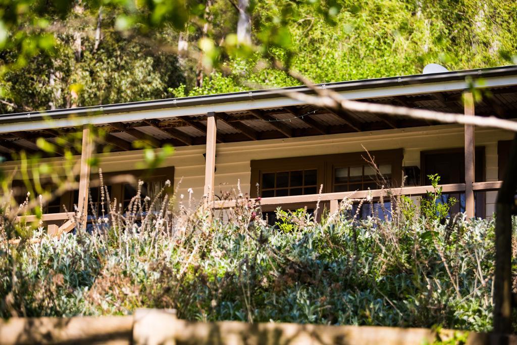 Buttercup Hill Acomodação com café da manhã Warburton Exterior foto