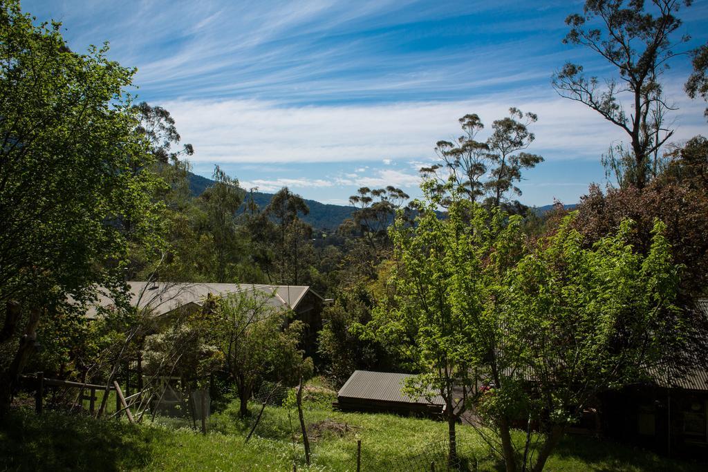 Buttercup Hill Acomodação com café da manhã Warburton Exterior foto